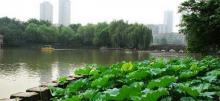 大渡口公园22