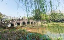 大渡口公园2