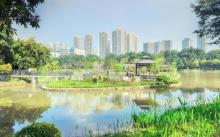 大渡口公园3