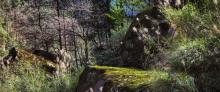 綦江国家地质公园老瀛山景区4
