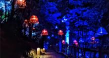 （重庆黄水旅游度假区）秘境黄水奇幻乐园9