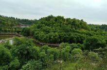 铜梁龙景区11