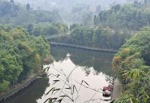 铜梁龙景区8