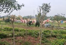铜梁龙景区7