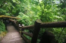 古剑山风景区16