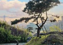 呼归石花阶公园2