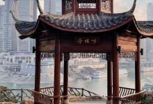 呼归石花阶公园4