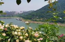 铜锣花谷生态园21