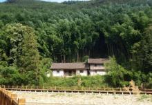 百里竹海景区-观音洞6