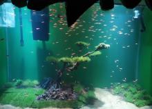 海之门海洋馆3