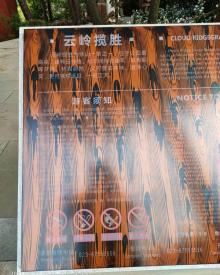 铁山坪森林公园6