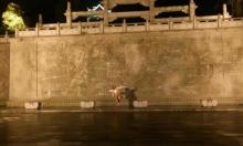 秀湖公园22