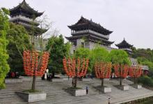 秀湖公园4