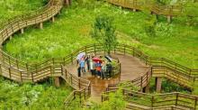 重庆千野草场景区14