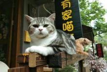 钟家院23