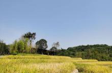 广阳岛12