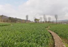 广阳岛19