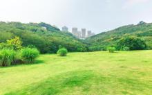 照母山森林公园4