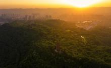 照母山森林公园1