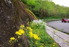 照母山森林公园7