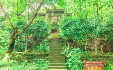照母山森林公园2