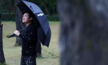 照母山森林公园21