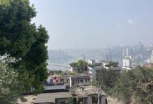 枇杷山公园9