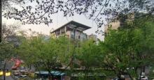 枇杷山公园14