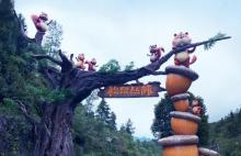 松鼠丛林乐园1