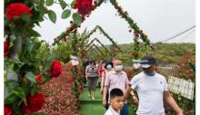丰都九重天连天栈道29