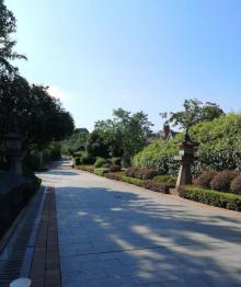 鸿恩寺森林公园12