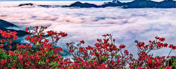 阳明山国家森林公园