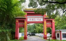 茶山竹海4
