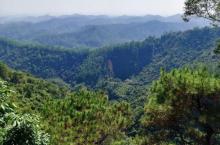 茶山竹海18