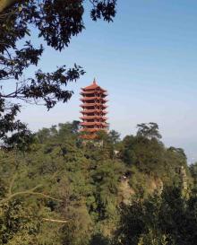 缙云山14
