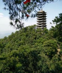 缙云山24