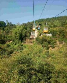 缙云山17