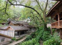 金刚碑・古树下的江村2