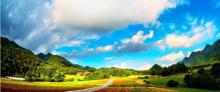 红池坝国家森林公园1