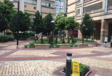 吉席街花园4