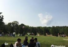 大埔海滨公园3