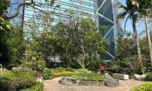 长江公园1