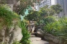 长江公园5