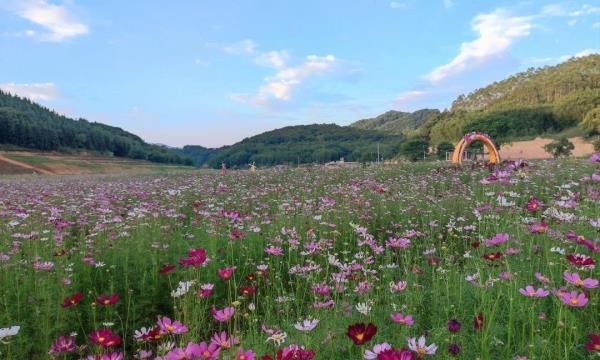 广东花川谷生态旅游度假区