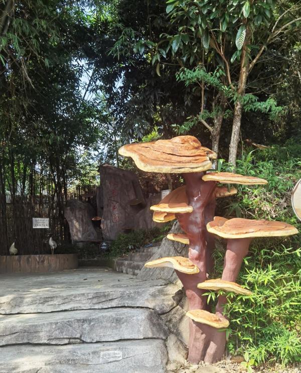 连樟村