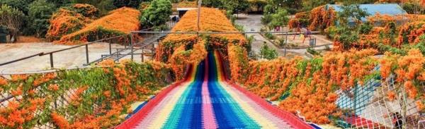 摩尔花海庄园