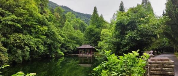 龙山绿谷天然大氧吧
