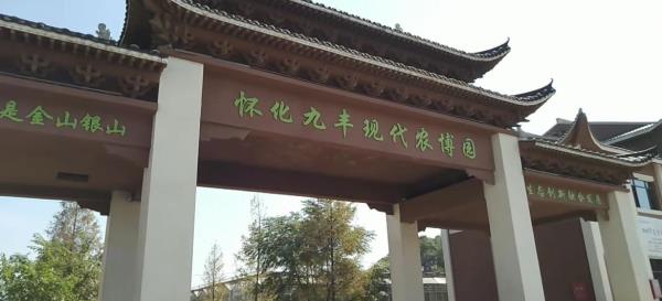九丰现代农业博览园