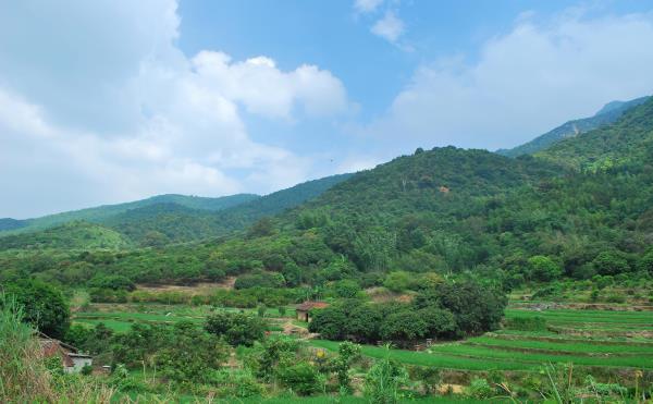 影村