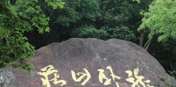 龙卧山庄
